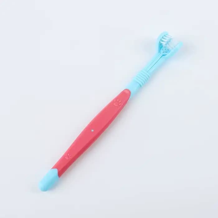 Brosse à dents de nettoyage pour animaux de compagnie
