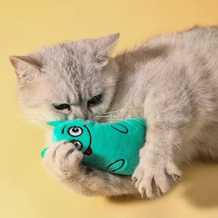 Jouets pour chat mignon