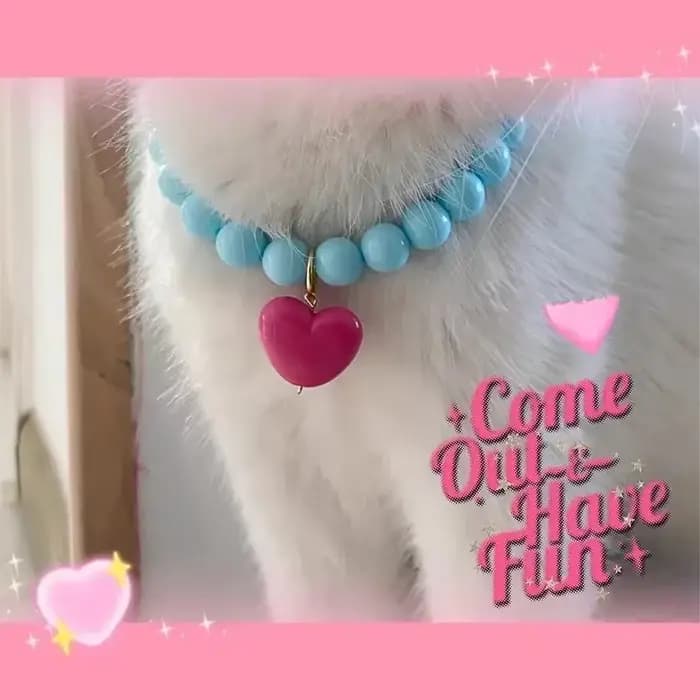 Collier de chat mignon