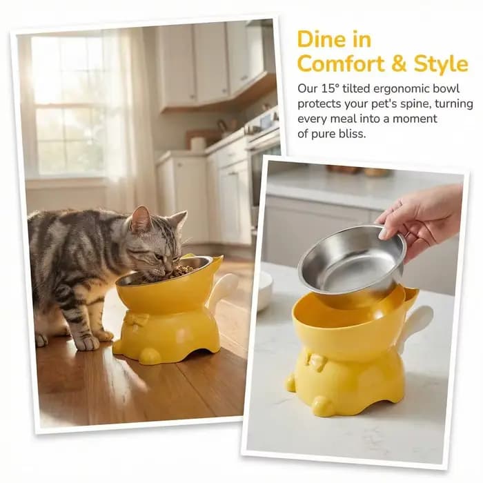 Bol pour chat en acier inoxydable anti-déversement
