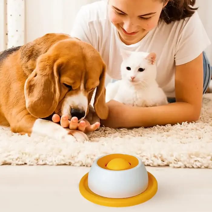 Accessoires d'alimentation pour animaux de compagnie, jouets pour chiens, jouets de puzzle pour chiots, distributeur de nourriture lent pour chiots, fournitures pour chiots pour une alimentation saine