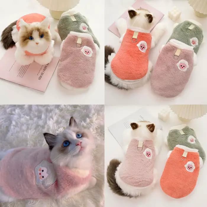Pull en peluche lapin pour chaton et chat âgé