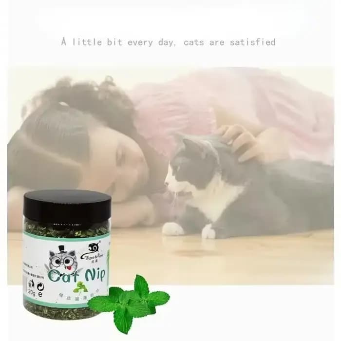 Bio 100% naturel de haute qualité herbe-aux-chats bétail goût de menthe drôle chat jouet nouveau
