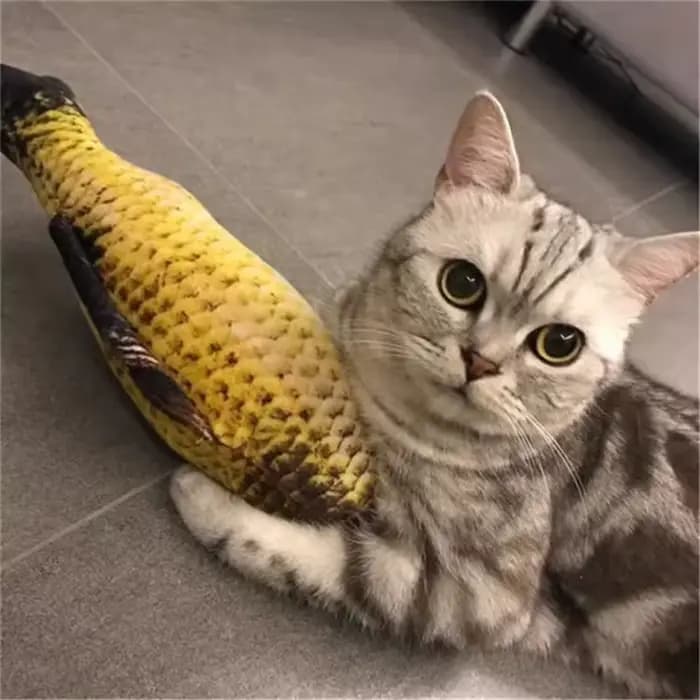 Chat poisson jouet