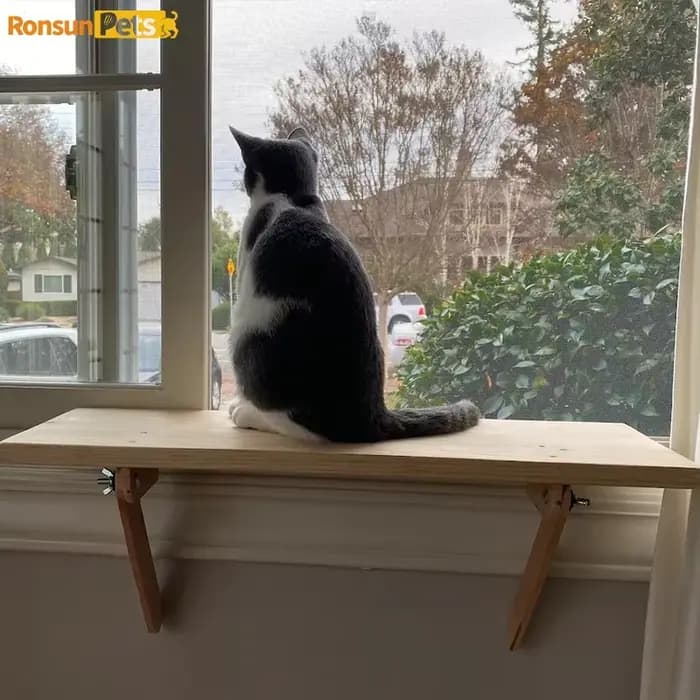 Tour d'arbre à chat en bois