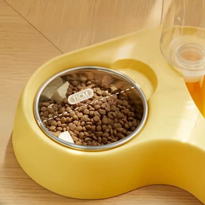 Nouvelle gamelle pour chat