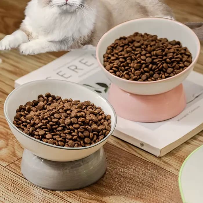 Bol pour chat 1 pièce, bol de nourriture incliné en céramique