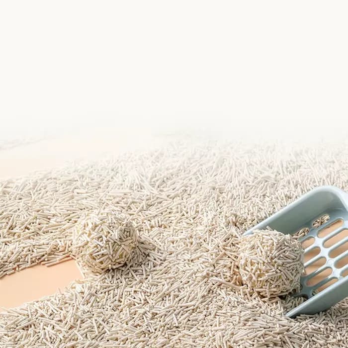 Litière pour chat en tofu