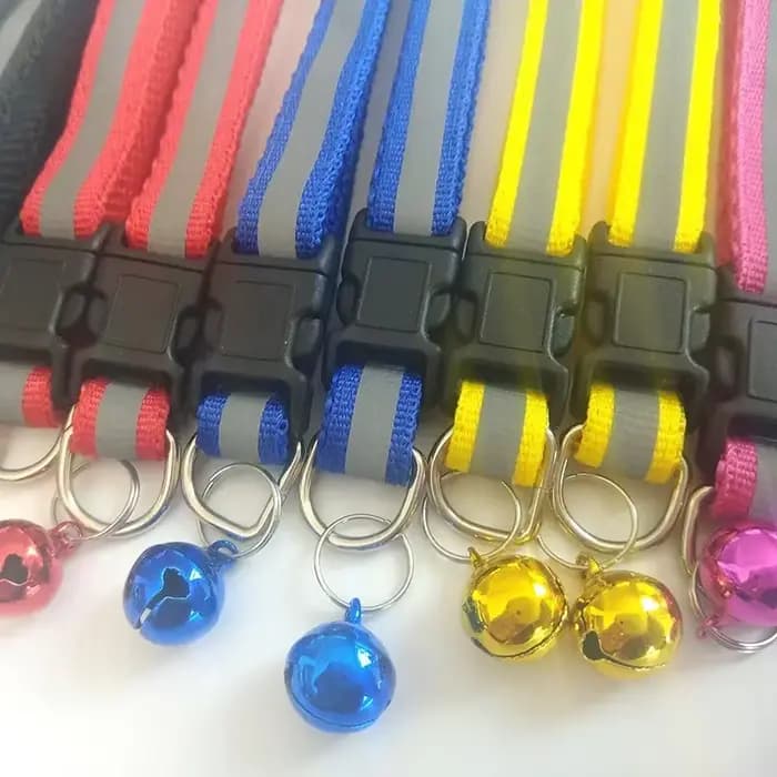 Collier de sécurité réglable pour chat