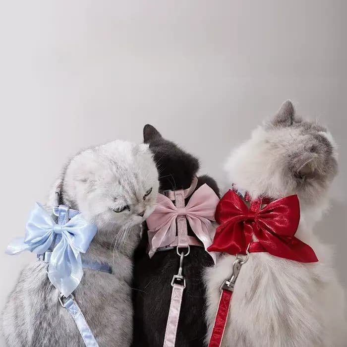 Harnais réglable pour animaux de compagnie avec corde de Traction pour chaton chiot lapin furet mignon chat