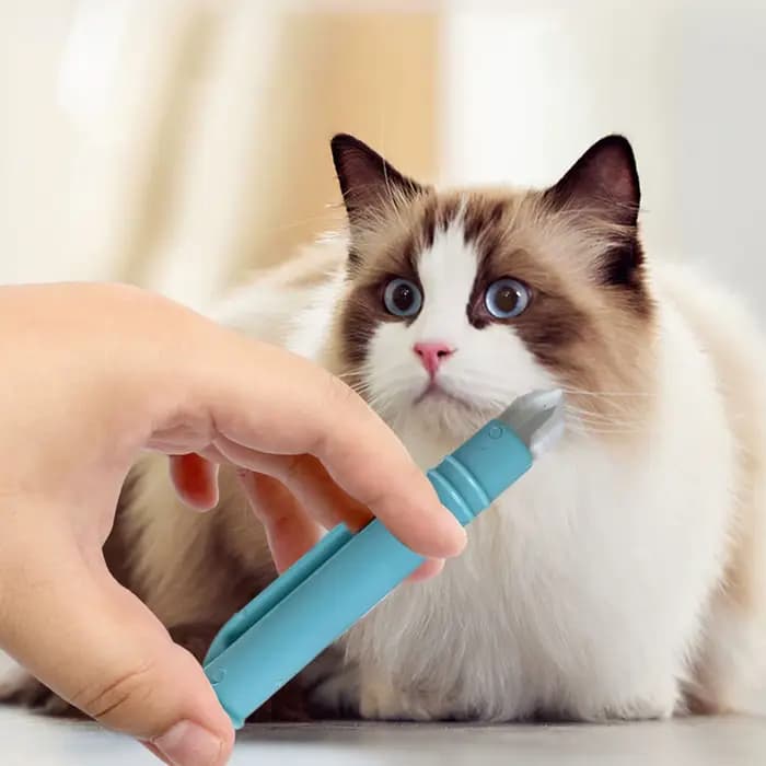 Kit de 4 extracteurs de tiques pour chiens et chats, accessoires durables pour animaux de compagnie, pour éliminer les puces, les poux et les tiques