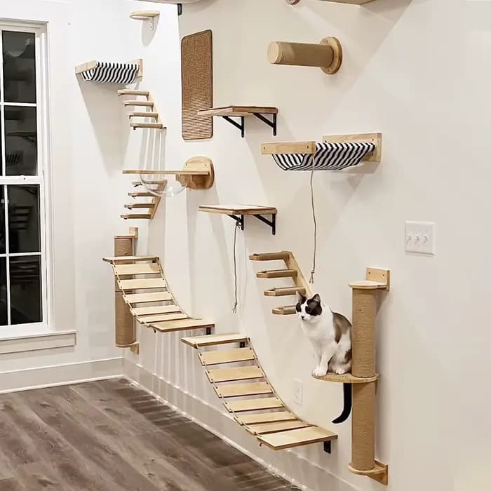 Étagère d'escalade murale pour chat