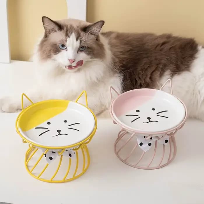 1 ensemble (1 support + 1 bol) de gamelles surélevées pour chat