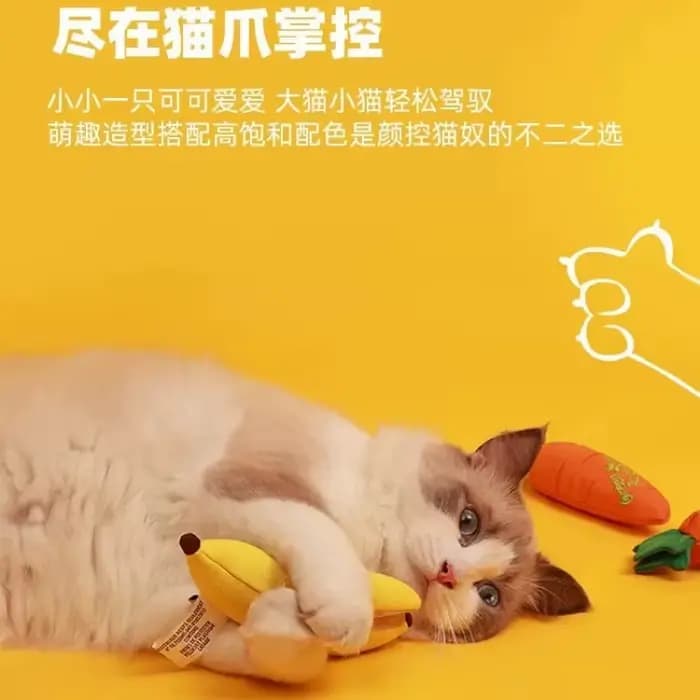 Jouet durable pour chat AFP : Poupée en forme de carotte et de poisson, simulation réaliste, sac de catnip pour l'auto-entretenement des chatons, à mâcher, fournitures pour chats