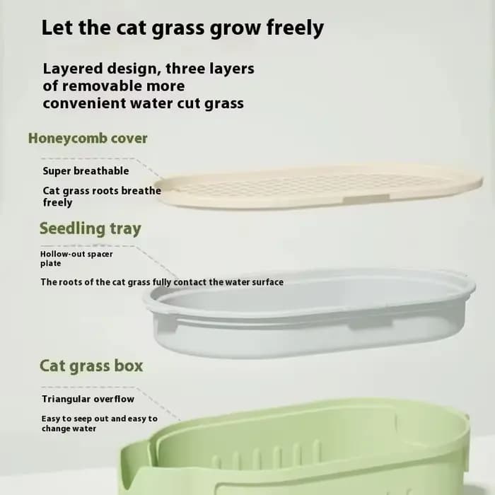 Kit de jardinière d'herbe pour chat biologique