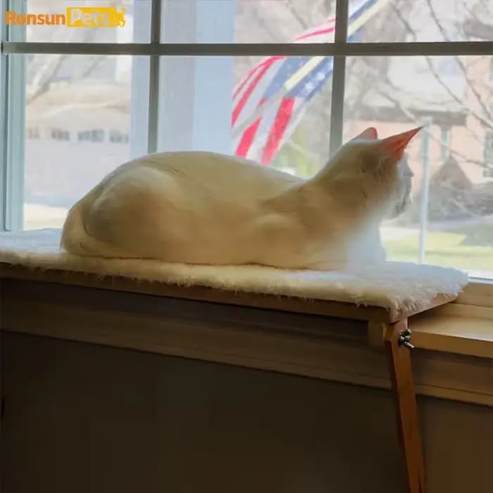 Tour d'arbre à chat en bois