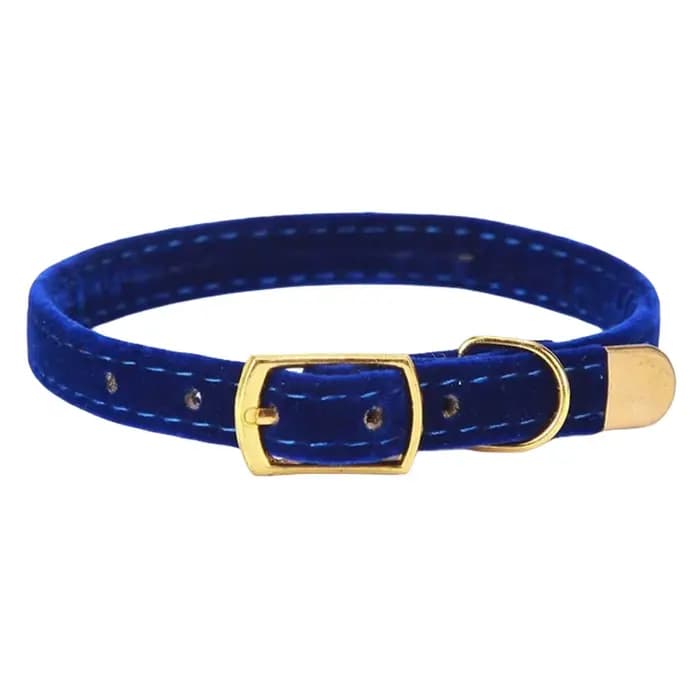 Collier de sécurité pour chat