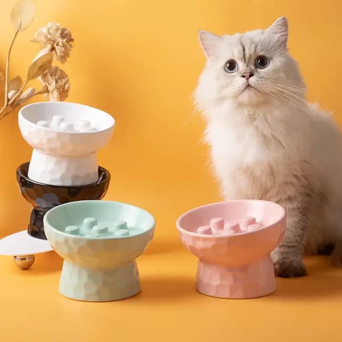 Bol en céramique pour chat, sur pieds hauts, anti-choc, à ouverture inclinée, protection du cou, pour animaux de compagnie, chiens et chats, 1 pièce