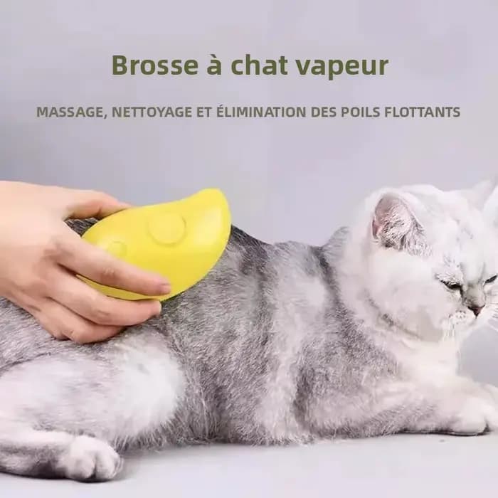 Brosse de toilettage pour animaux de compagnie