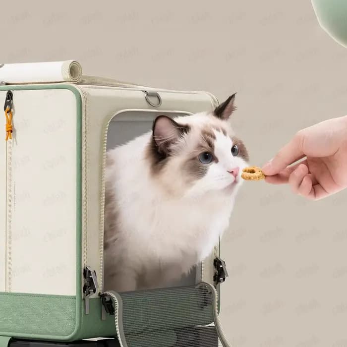 Porte-chat Extra Large avec roulettes-poussette pliable pour animaux de compagnie pour 2 chats