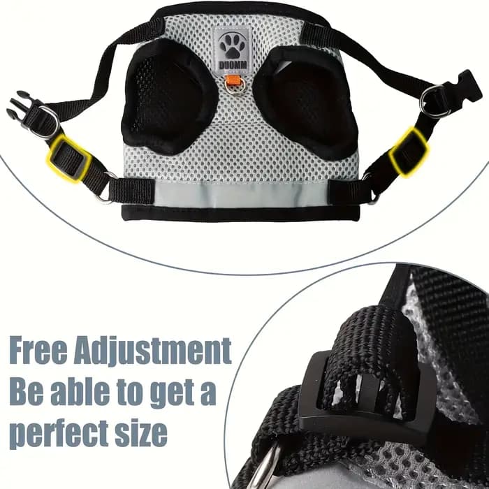 Ensemble de laisse pour chat et chien