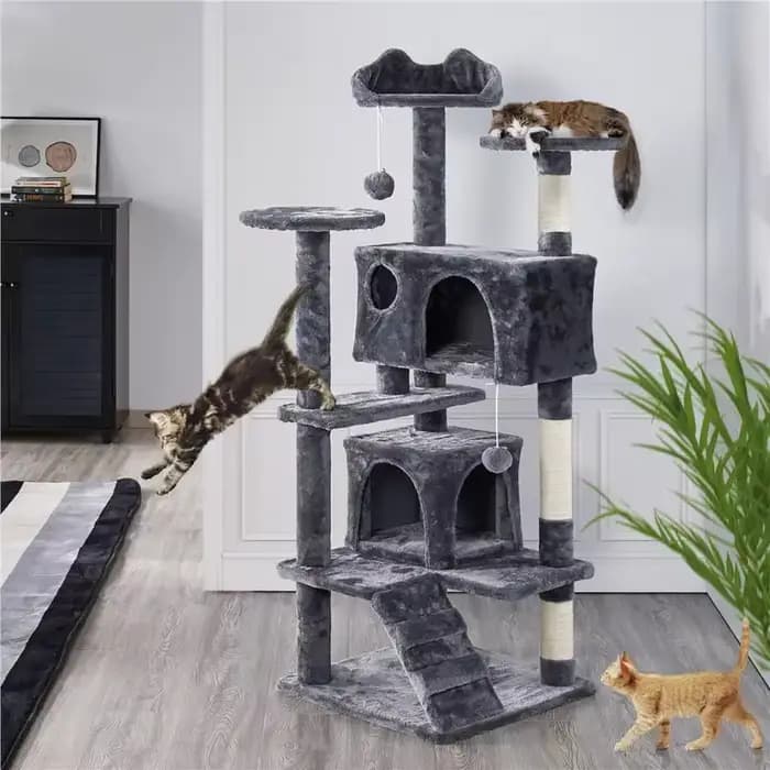 Grande maison pour chatons et chats