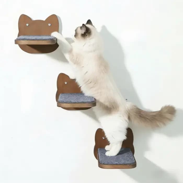 Étagères murales en bois pour chat