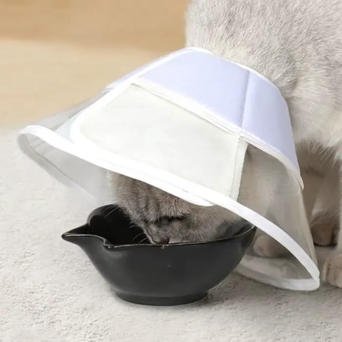 Collier cône de récupération pour chat transparent réutilisable