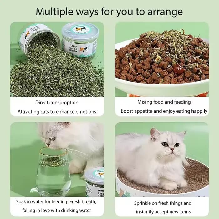 Jouet pour chat bio 100% naturel de haute qualité