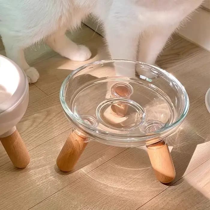 Mangeoire pour chat de 500ml