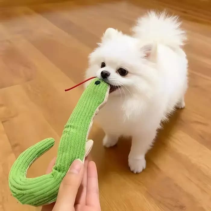 Jouet interactif serpent sonore pour chats et chiens