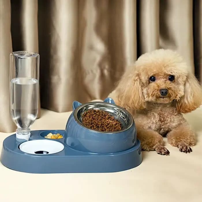 Récipient de nourriture avec abreuvoir pour animaux de compagnie