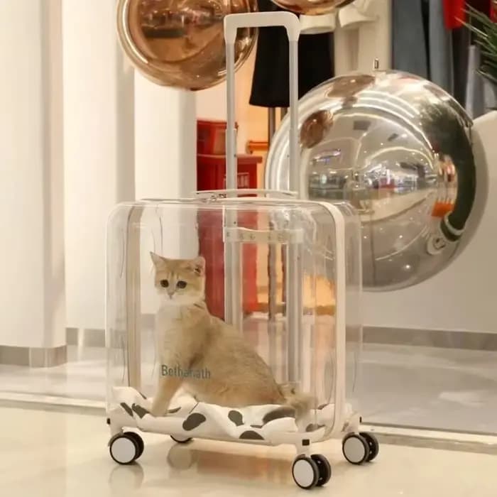 Sac à Dos Transparent pour Animaux de Compagnie