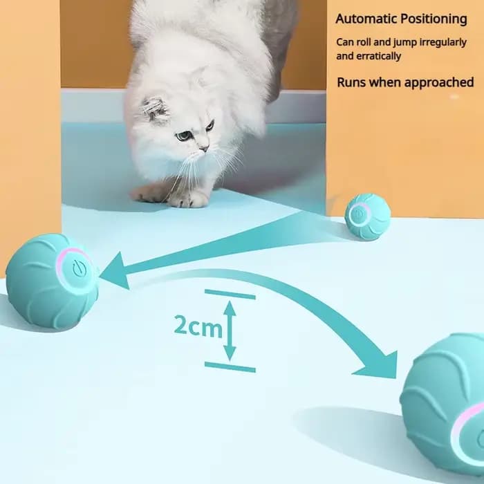 Jouets intelligents pour chat