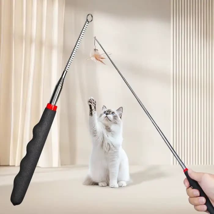 Jouet Teaser rétractable pour chat