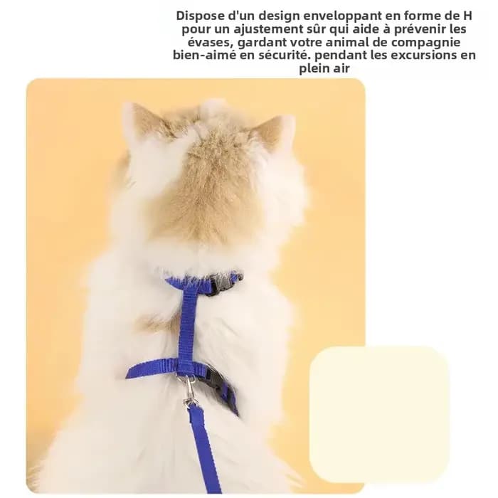 Laisse harnais pour chat