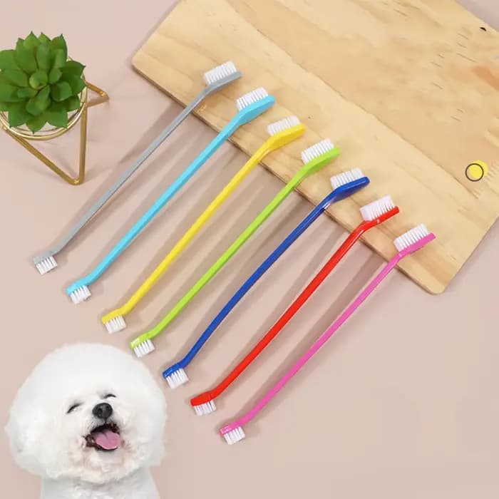 Brosse à dents à Double tête pour chien