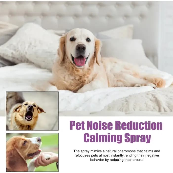 Spray apaisant pour animaux de compagnie pour chats