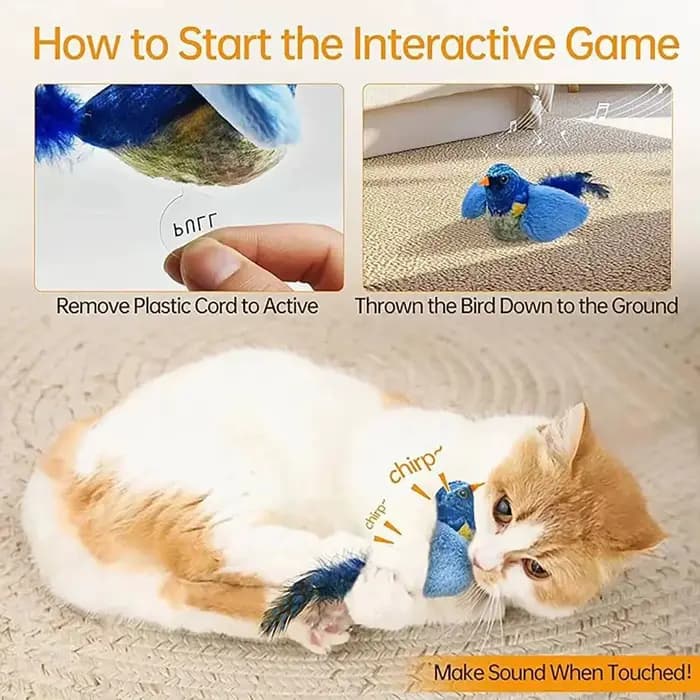 Jouet interactif d'intérieur pour chat, oiseaux sonores avec herbe à chat, pour la poursuite et le chatouillage, jouet mural auto-amusant pour chat