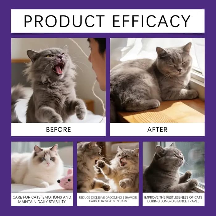 Spray apaisant aux phéromones pour chats : Réduit l'anxiété et le stress