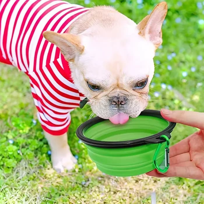 Bol de nourriture pour animaux de compagnie Portable bol TPR Durable