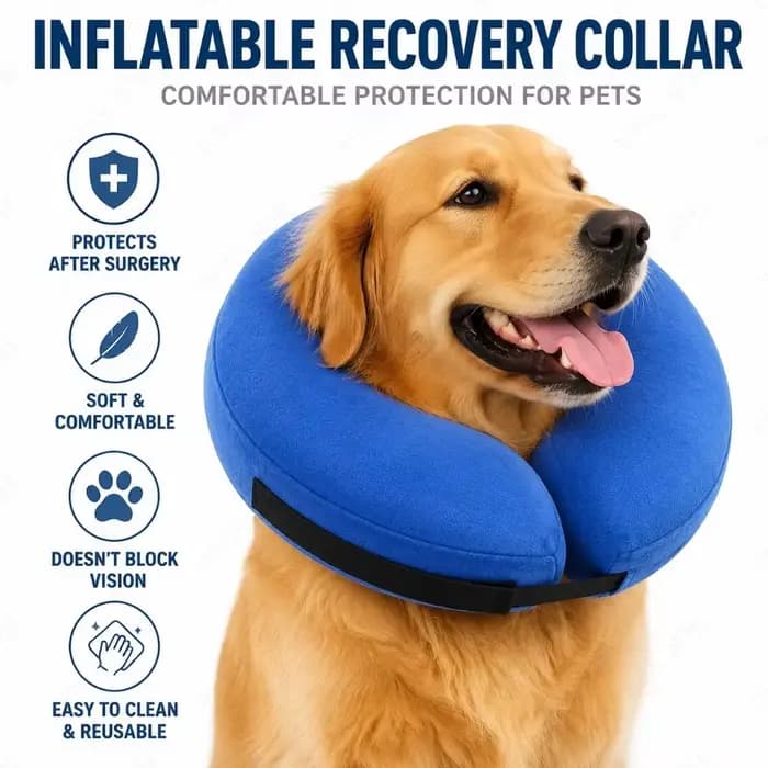 Collier de récupération gonflable pour chien
