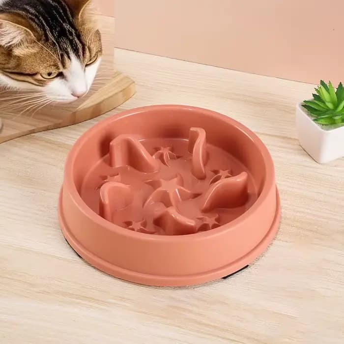 Gamelle anti-glouton pour petits chiens et chats – Bol antidérapant et anti-renversement pour prévenir l'étouffement – Accessoires d'alimentation pour animaux de compagnie