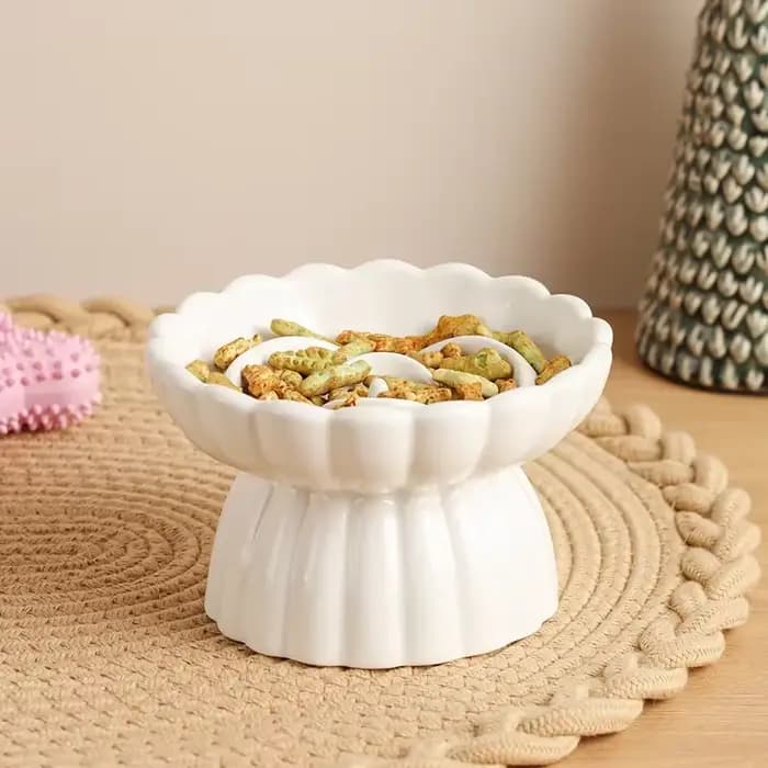 Bol de nourriture pour chat en céramique surélevé chats petits chiens bols d'alimentation lente Anti-étouffement mangeoires pour animaux de compagnie Anti-égouttage fournitures pour chiots