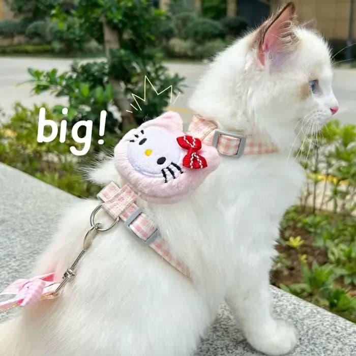 Ensembles de harnais et de laisse pour chat Hello Kitty avec corde de 150 cm, harnais réglable pour chien, sangle respirante pour promenade, accessoire pour chat