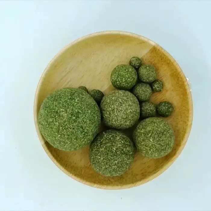 Jouets à la menthe, boule d'herbe à chat comestible