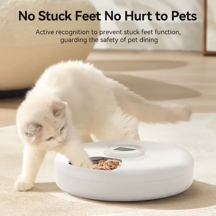 ROJECO mangeoire automatique pour animaux de compagnie distributeur de nourriture sèche humide 6 repas sans fil