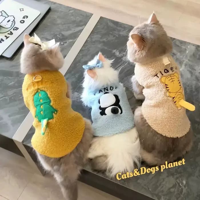 Pull pour chat mignon doux et confortable, costume d'hiver chaud, vêtements pour animaux de compagnie pour chats, pull Katten Sphynx, vêtements pour petits chiens, testostérone os
