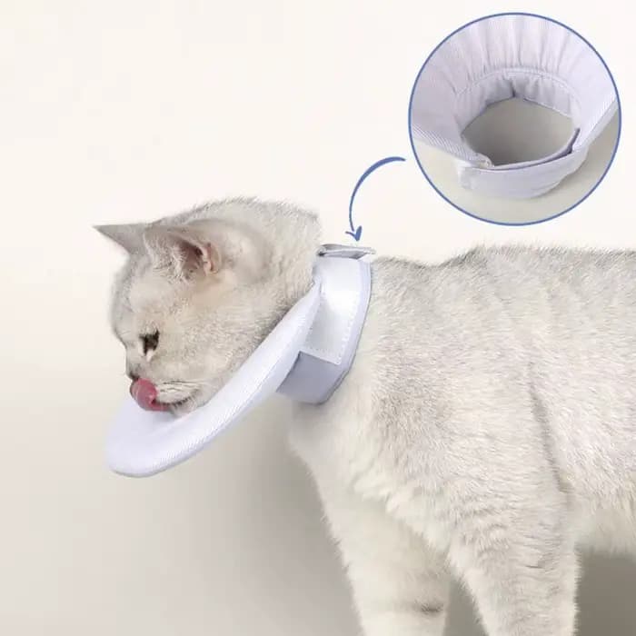 Collier de récupération pratique double face pour chat