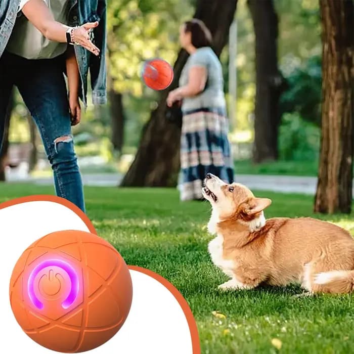 Jouet pour chien, balle interactive, balle roulante, jouet pour chien à mouvement automatique, deux modes, rechargeable, balle automatique, accessoires pour animaux de compagnie, pour chien, chiot